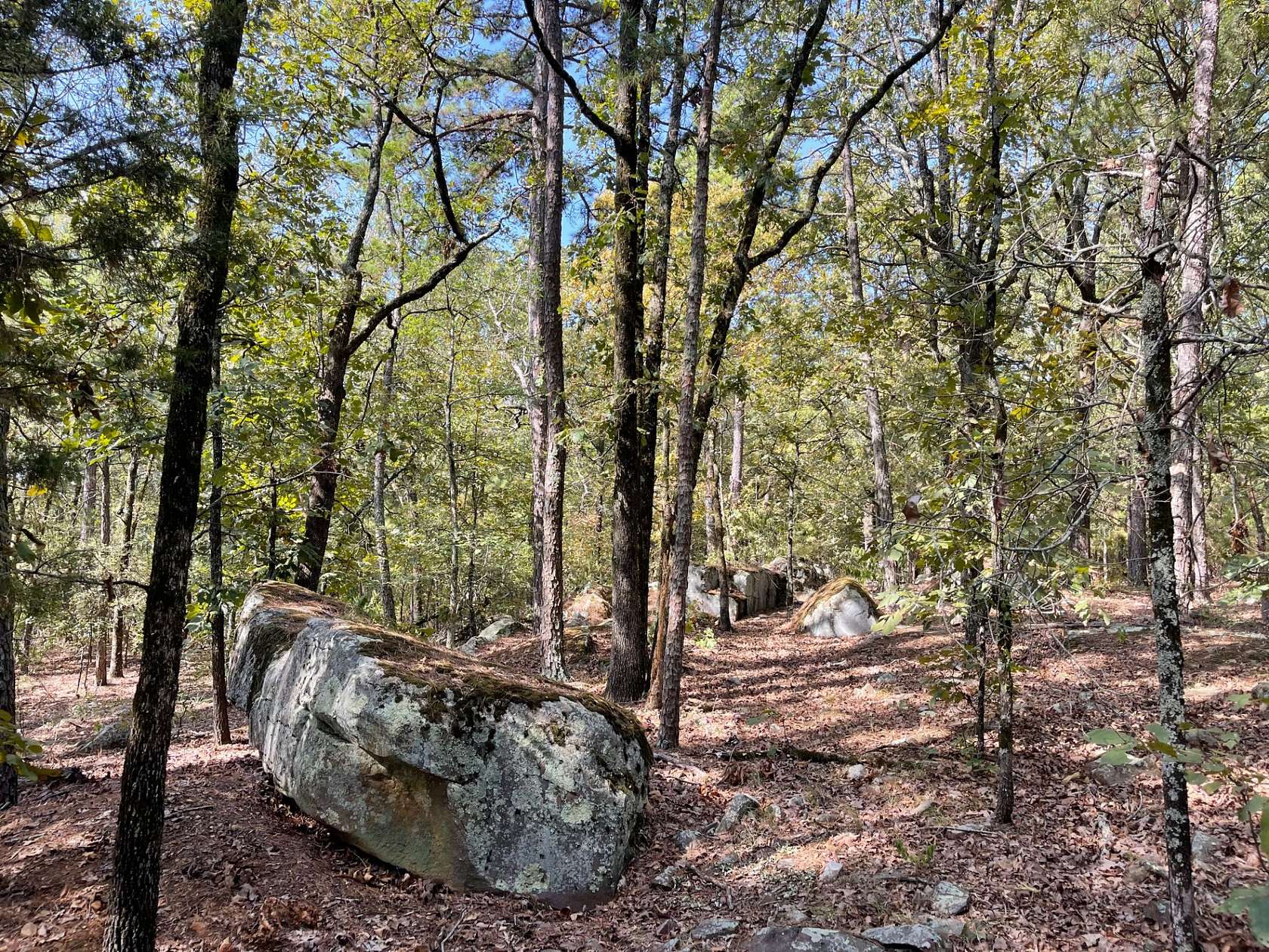 25 Acres of Land for Sale in Antlers, Oklahoma