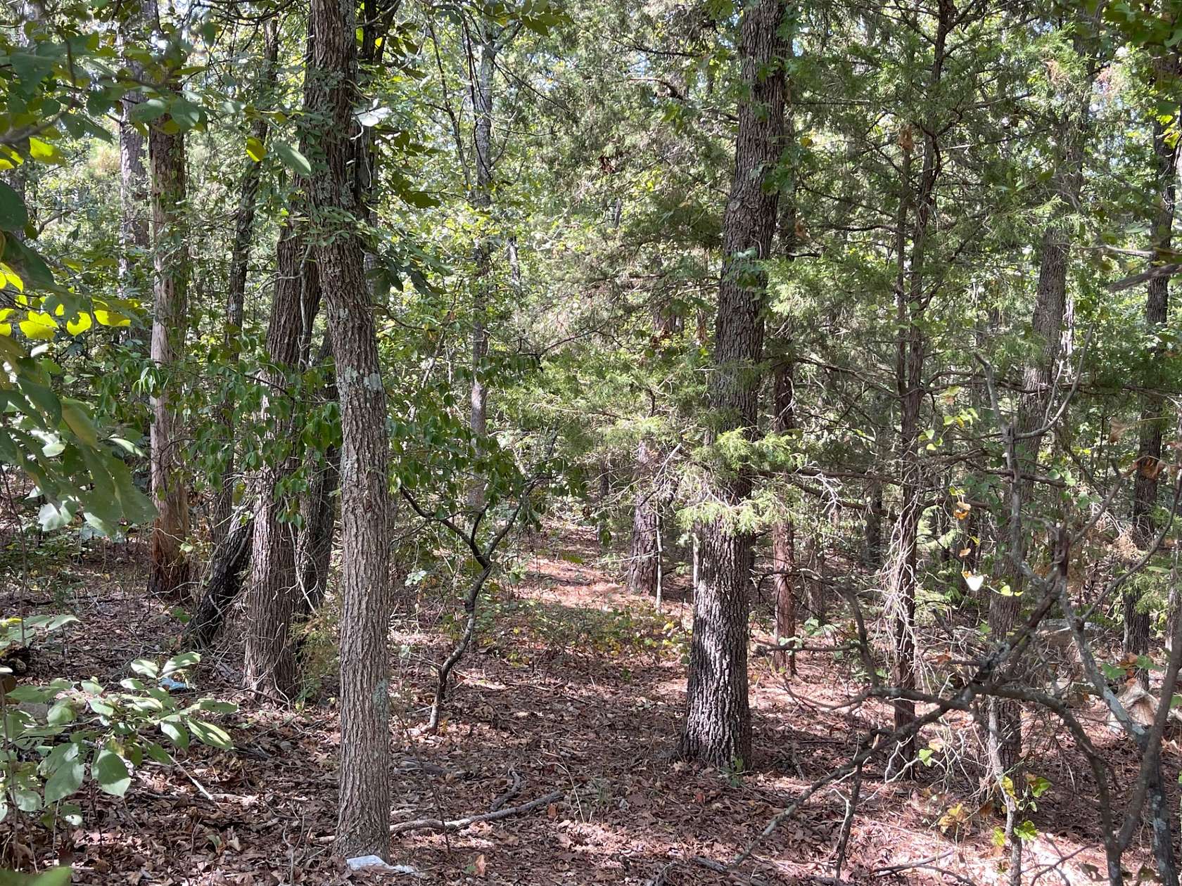 8 Acres of Residential Land for Sale in Antlers, Oklahoma