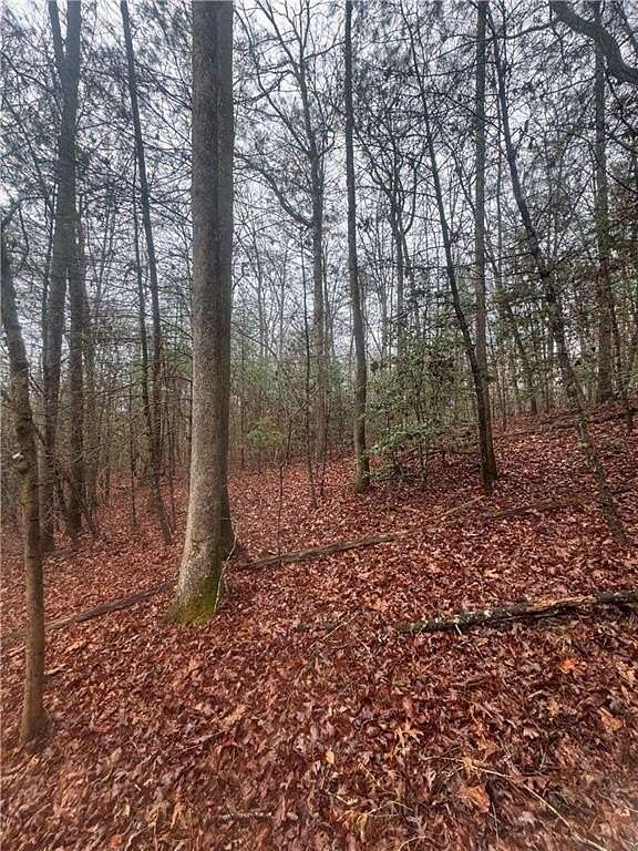 0.59 Acres of Residential Land for Sale in Ellijay, Georgia