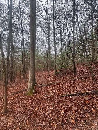 0.59 Acres of Residential Land for Sale in Ellijay, Georgia