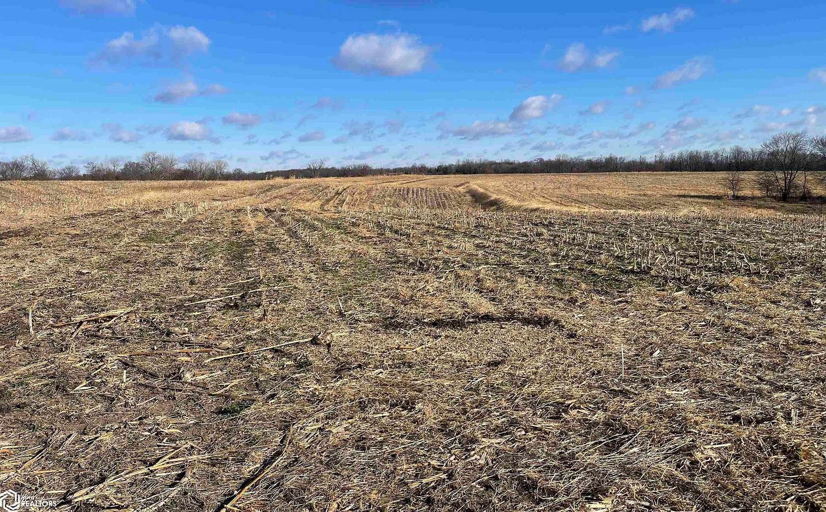 44 Acres of Agricultural Land for Sale in Lacona, Iowa