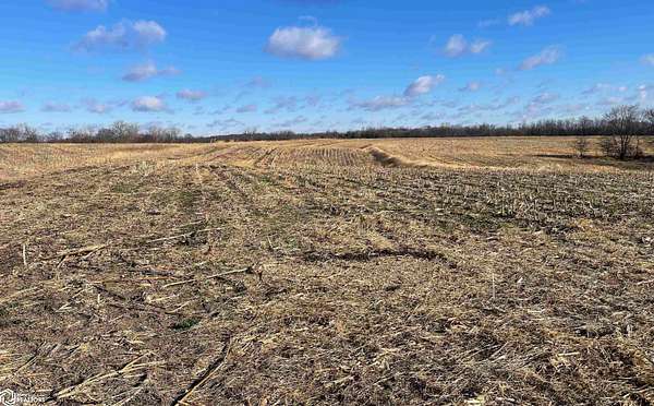 44 Acres of Agricultural Land for Sale in Lacona, Iowa
