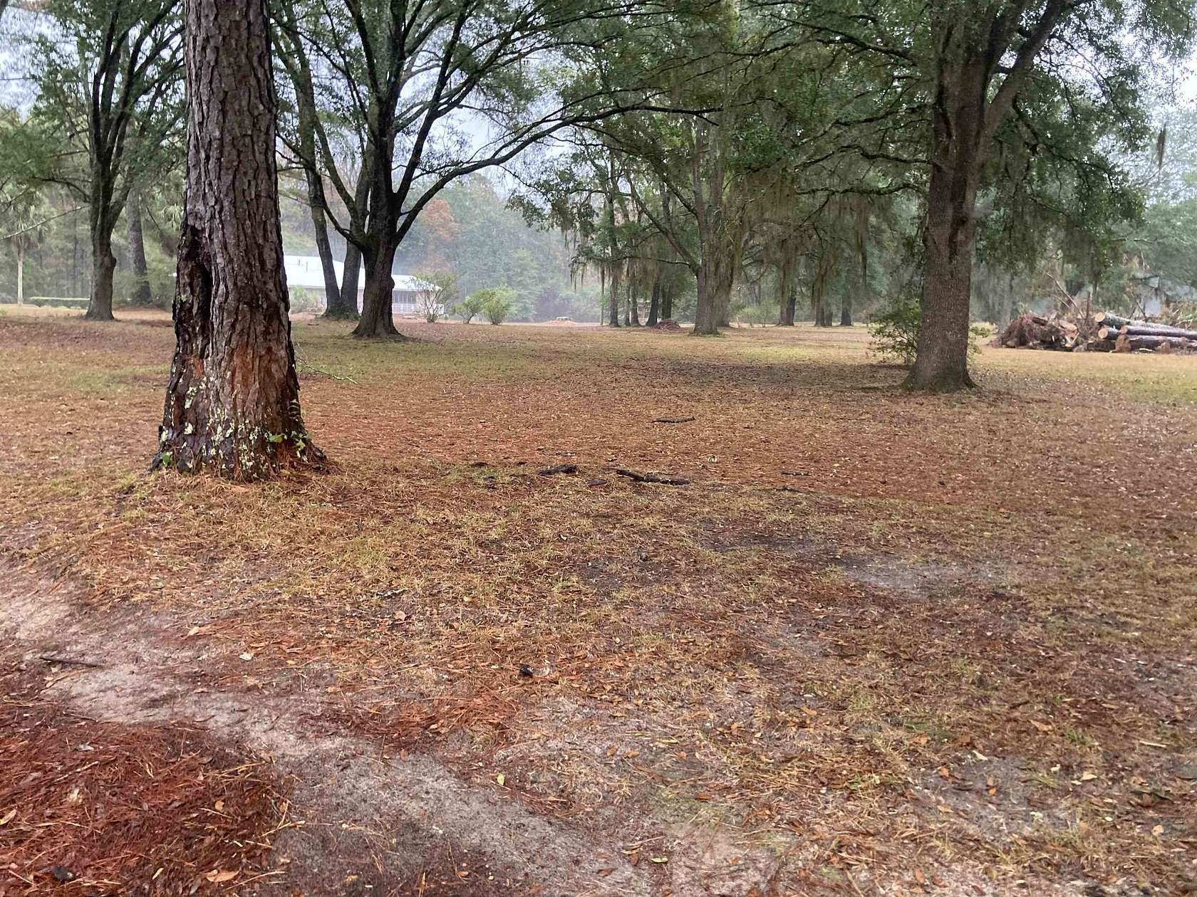 5 Acres of Land for Sale in Monticello, Florida