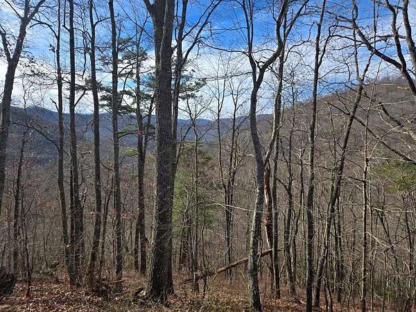 7.17 Acres of Residential Land for Sale in Tuckasegee, North Carolina