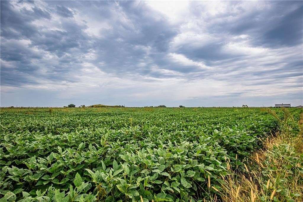80 Acres of Agricultural Land for Sale in Reeder Township, Kansas