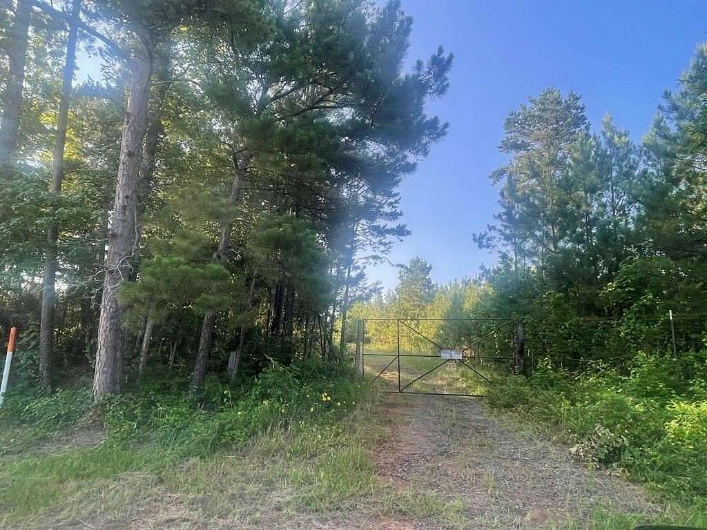 18.8 Acres of Land for Sale in Pineland, Texas