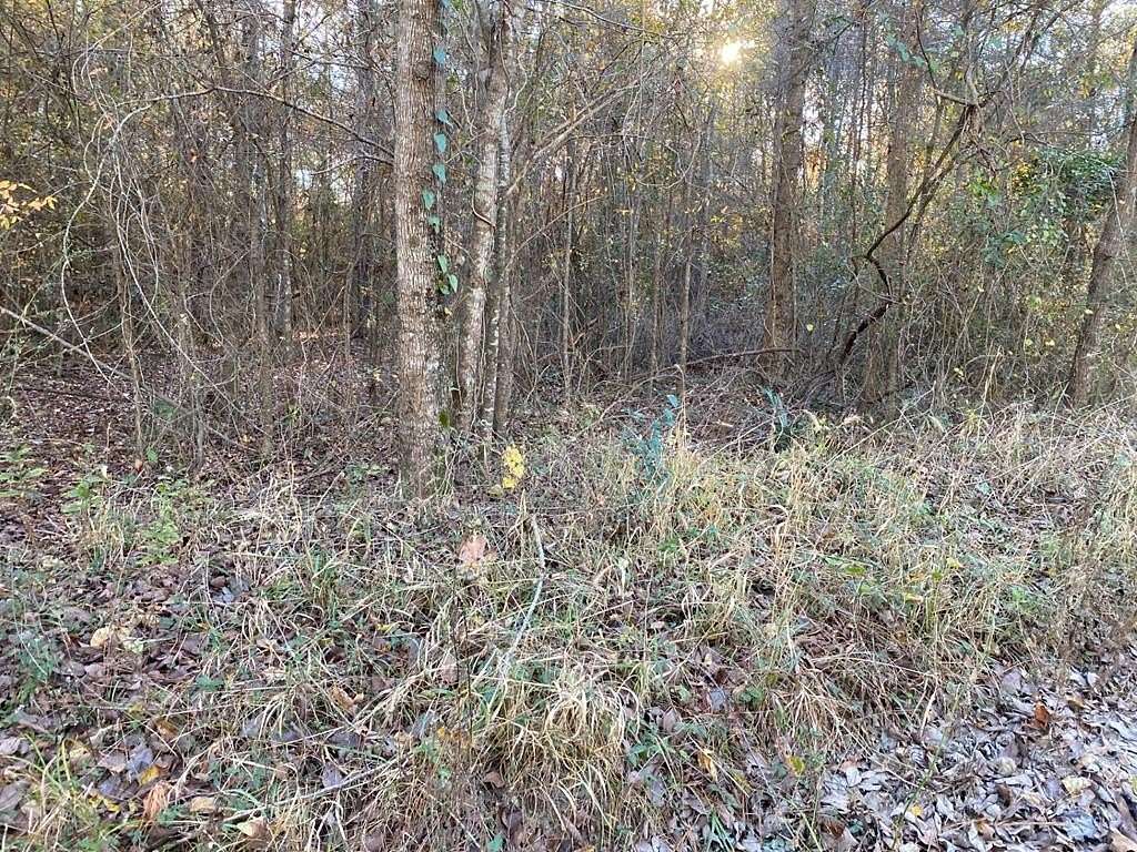 0.13 Acres of Land for Sale in Huntington, Texas