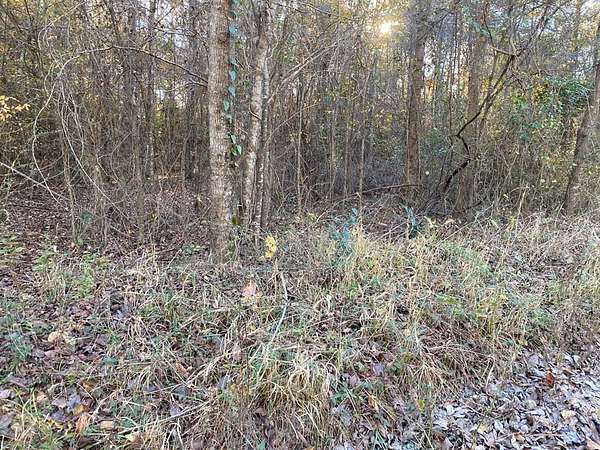 0.13 Acres of Land for Sale in Huntington, Texas