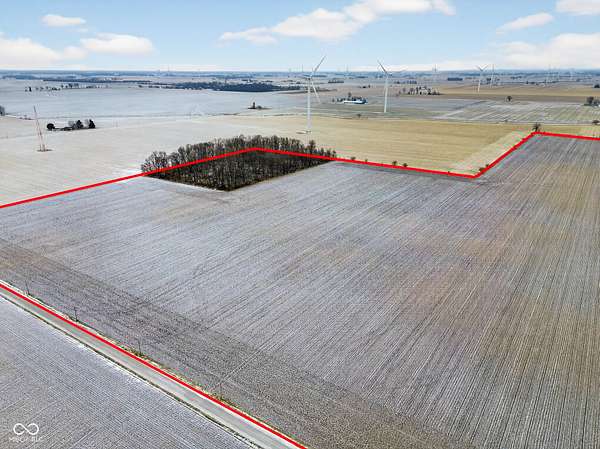 50 Acres of Recreational Land & Farm for Sale in Elwood, Indiana