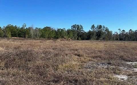 20 Acres of Land for Sale in Jasper, Florida