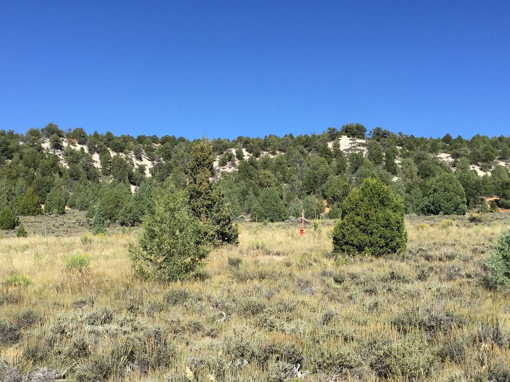 0.71 Acres of Residential Land for Sale in Alton, Utah