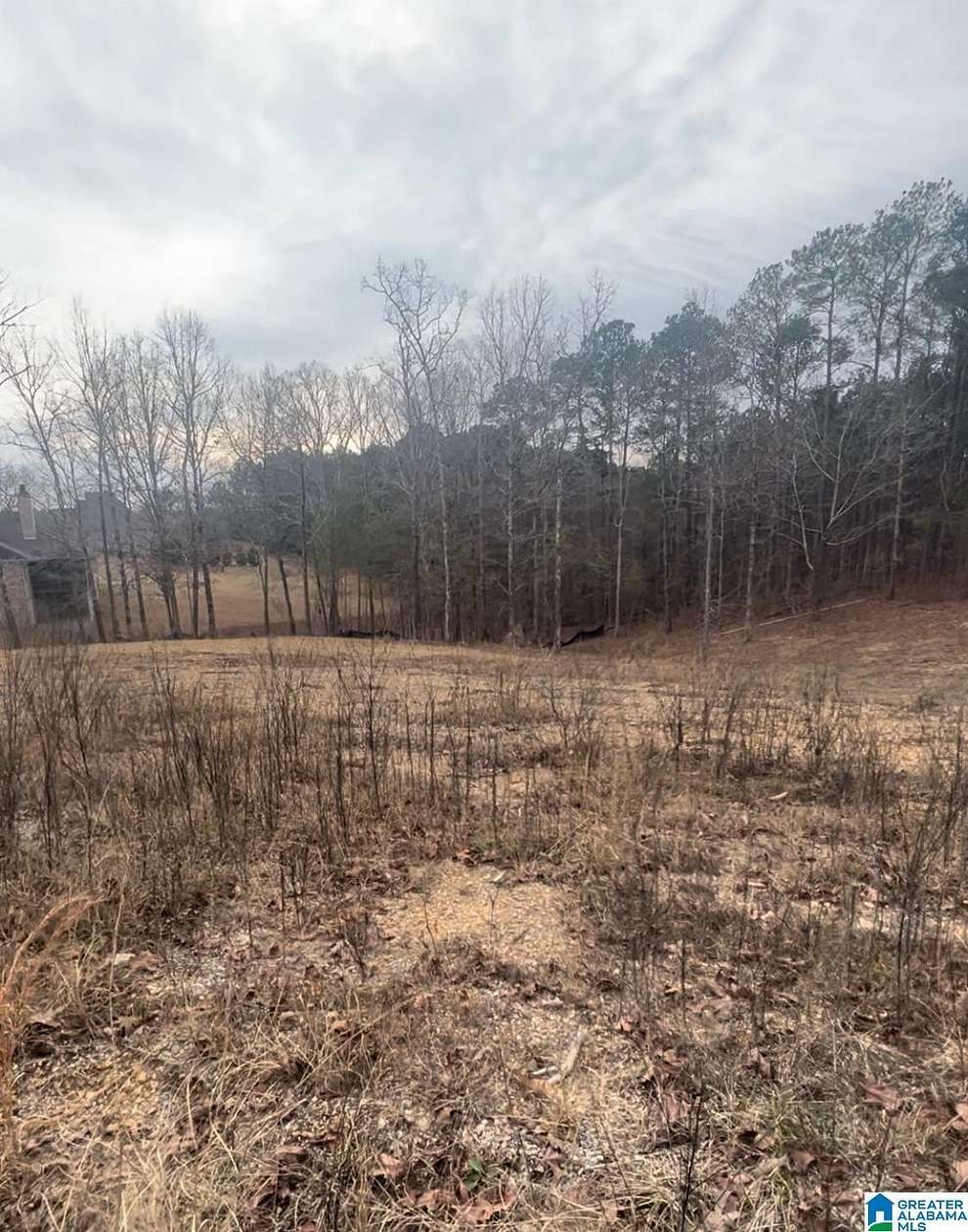 0.9 Acres of Land for Sale in Oneonta, Alabama