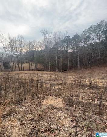 0.9 Acres of Land for Sale in Oneonta, Alabama
