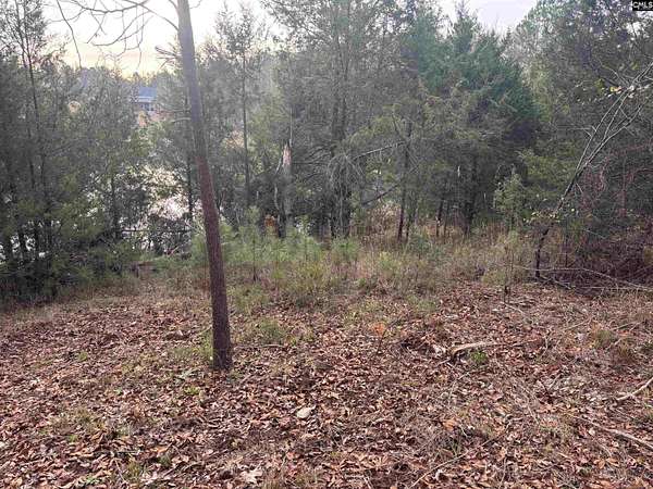 10.3 Acres of Land for Sale in Prosperity, South Carolina