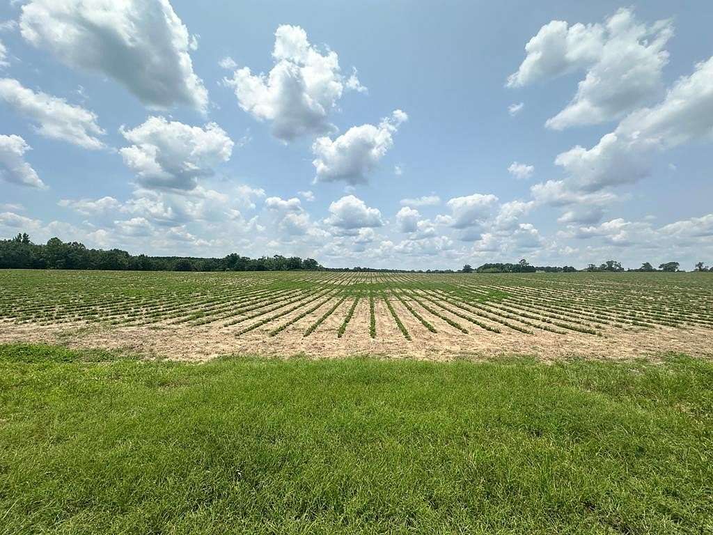 10.5 Acres of Land for Sale in Dothan, Alabama