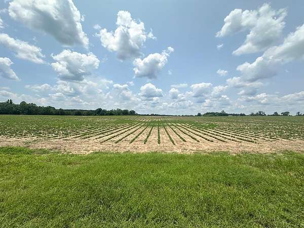 10.5 Acres of Land for Sale in Dothan, Alabama