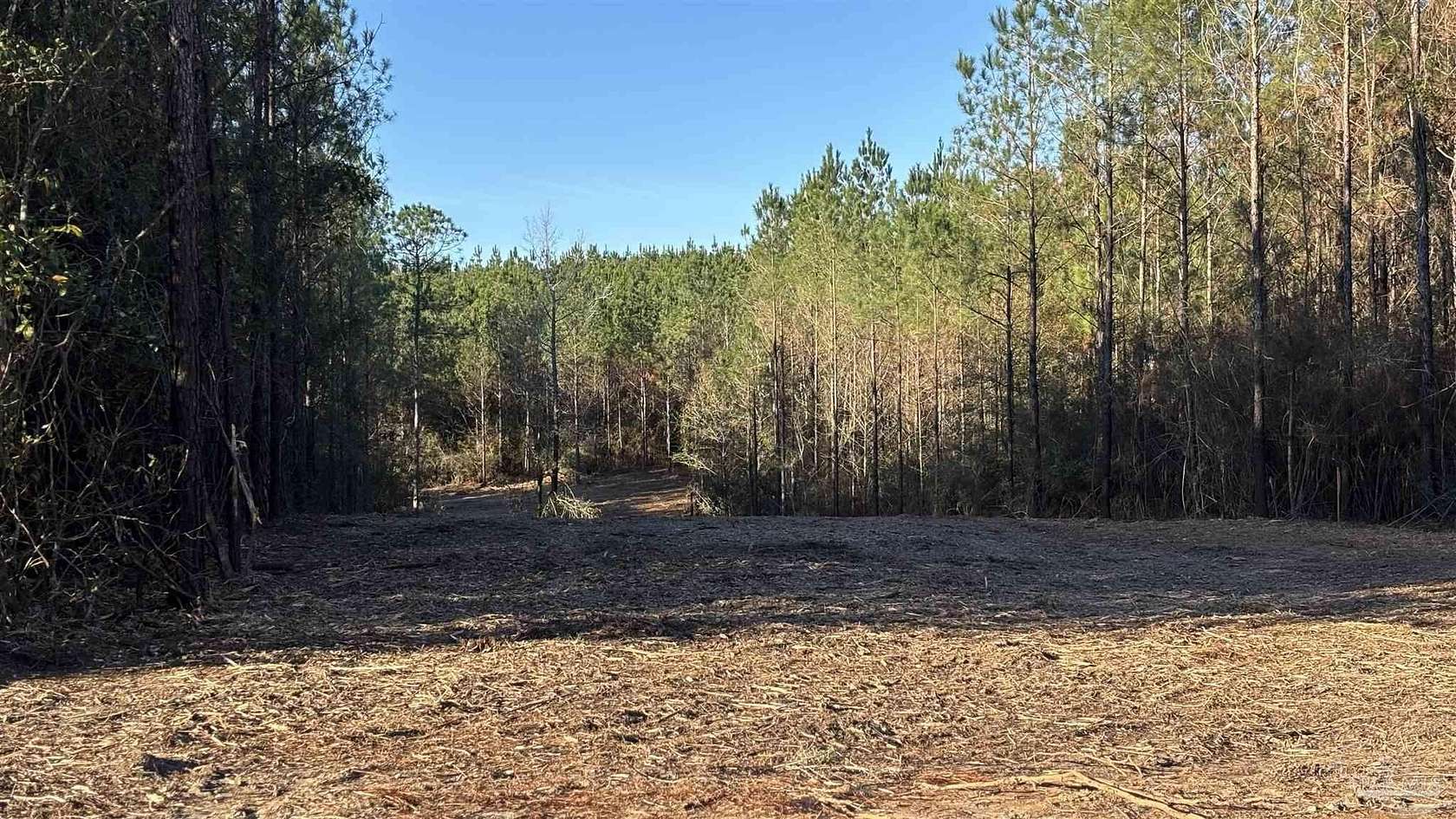 2 Acres of Residential Land for Sale in Allentown, Florida