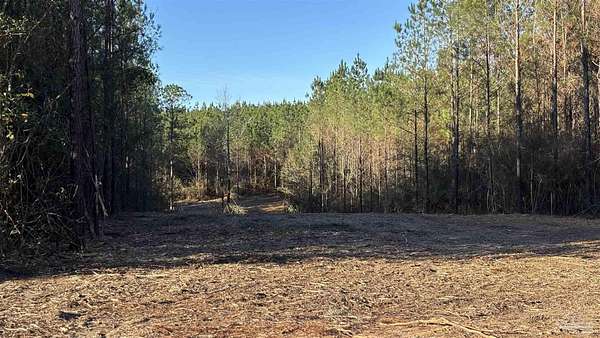 2 Acres of Residential Land for Sale in Allentown, Florida