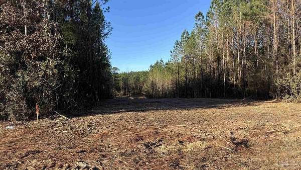 2 Acres of Residential Land for Sale in Allentown, Florida
