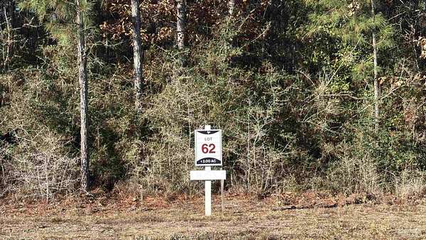 2 Acres of Residential Land for Sale in Allentown, Florida