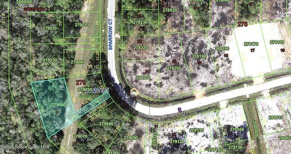 0.33 Acres of Residential Land for Sale in Poinciana, Florida
