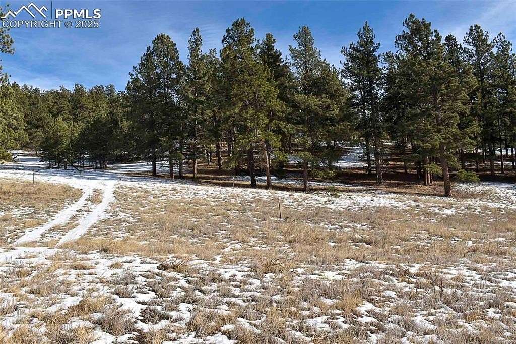 0.9 Acres of Land for Sale in Guffey, Colorado
