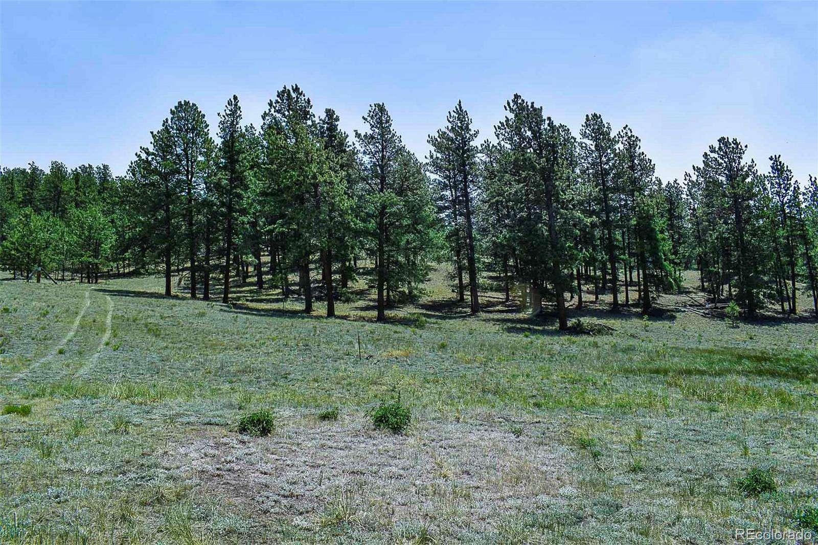 0.9 Acres of Land for Sale in Guffey, Colorado
