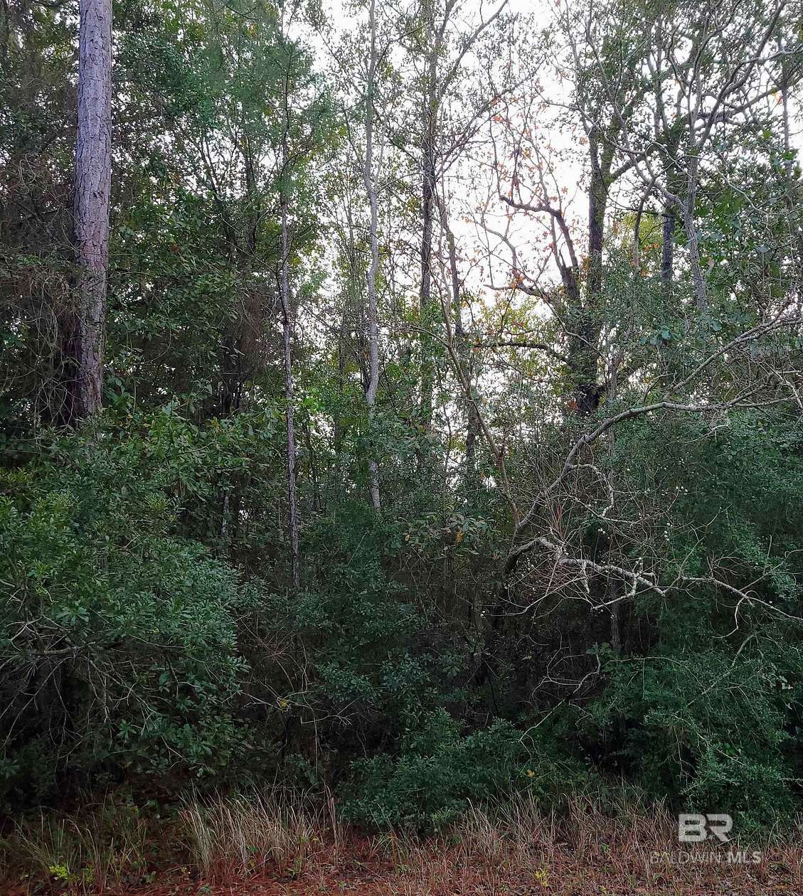 19.2 Acres of Land for Sale in Elberta, Alabama