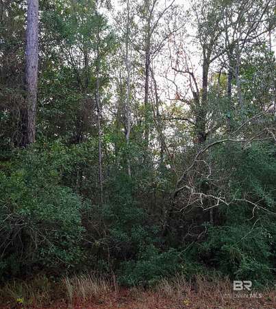 19.2 Acres of Land for Sale in Elberta, Alabama