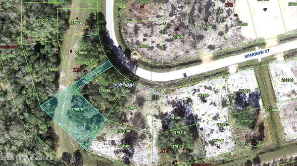 0.33 Acres of Residential Land for Sale in Poinciana, Florida