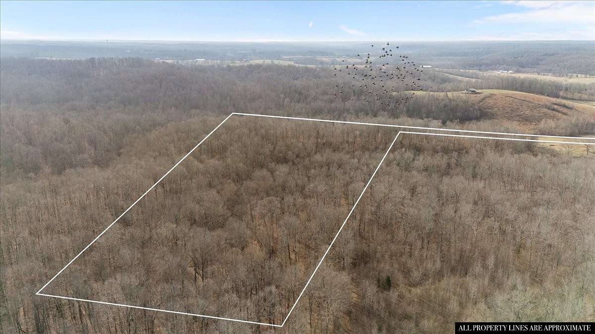 18 Acres of Recreational Land for Sale in Palmyra, Tennessee