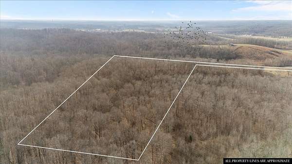 18 Acres of Recreational Land for Sale in Palmyra, Tennessee