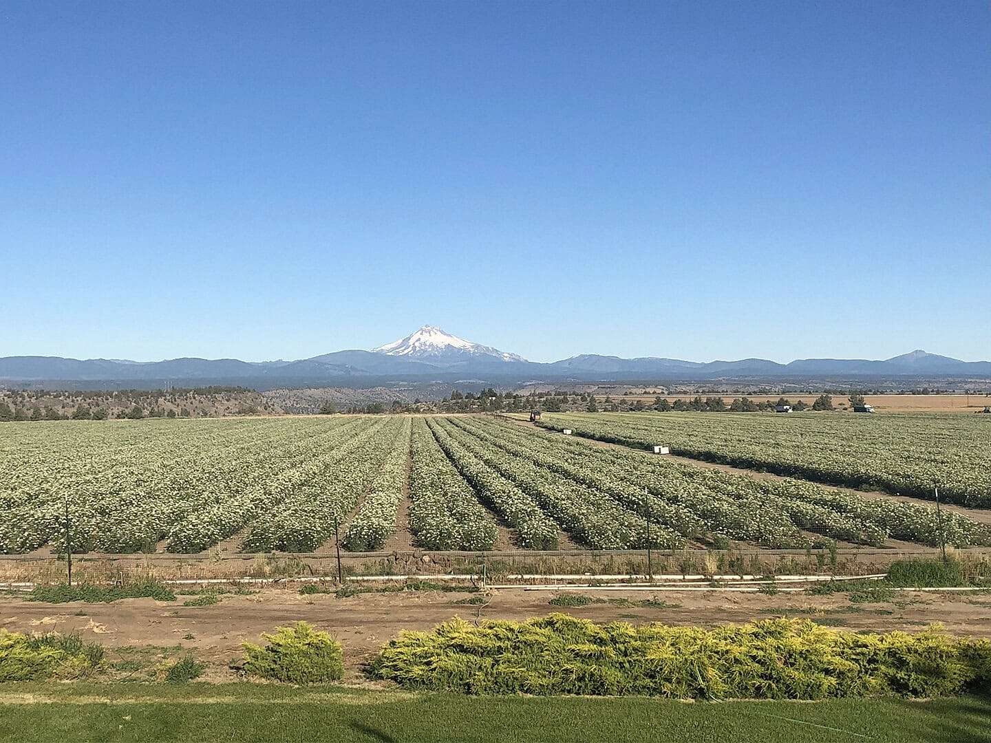 402 Acres of Agricultural Land for Sale in Madras, Oregon