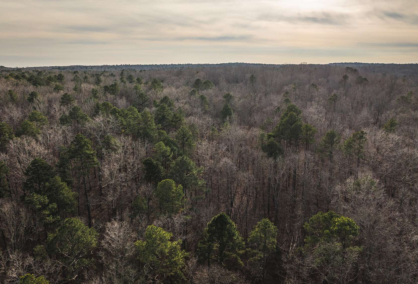 10 Acres of Recreational Land for Sale in Grandin, Missouri