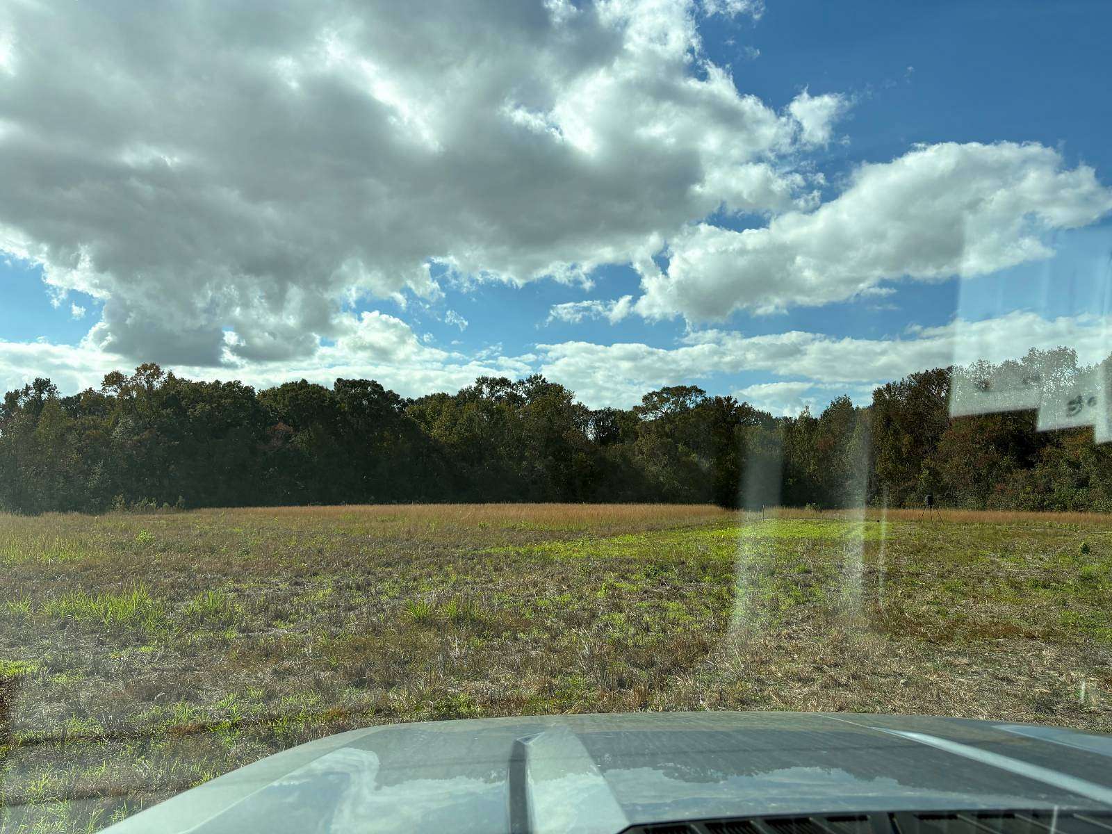 26.2 Acres of Recreational Land for Sale in Rayne, Louisiana