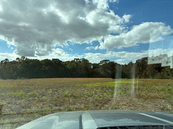 26.2 Acres of Recreational Land for Sale in Rayne, Louisiana