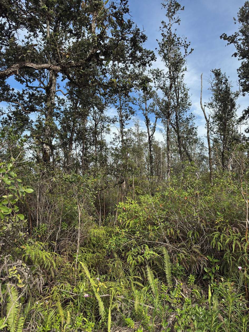 3 Acres of Residential Land for Sale in Kurtistown, Hawaii