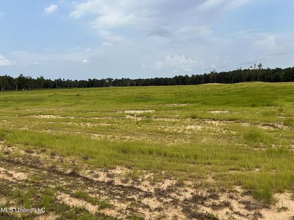18.5 Acres of Agricultural Land for Sale in Kiln, Mississippi