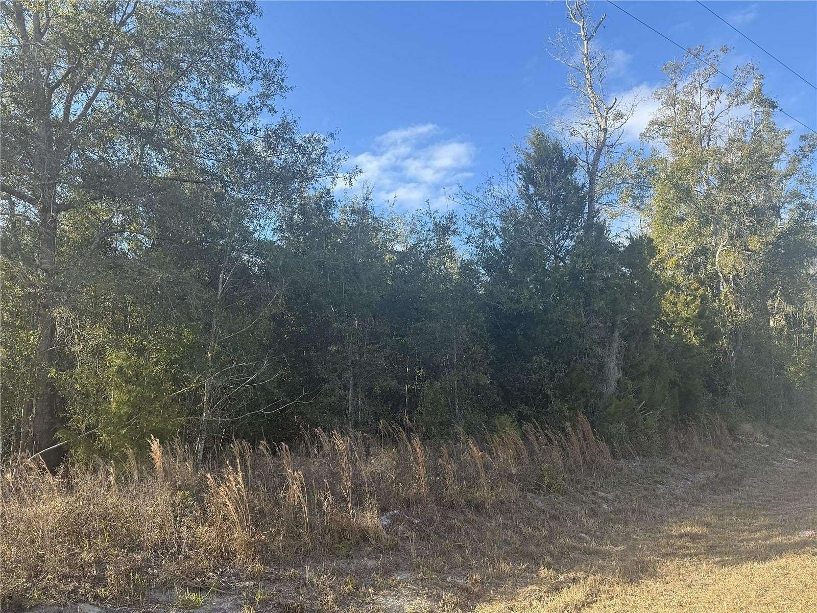 5.6 Acres of Land for Sale in Lake City, Florida