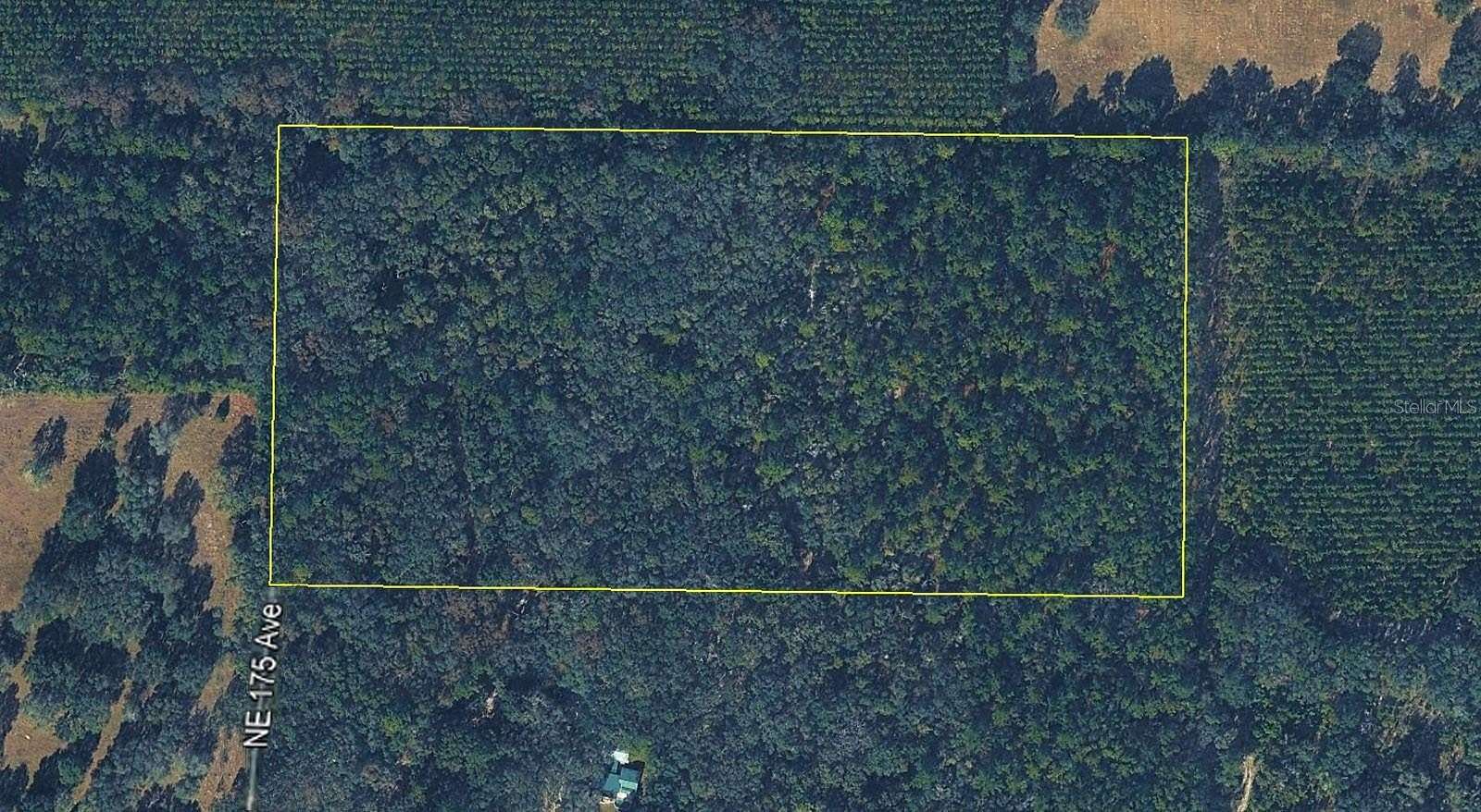20 Acres of Land for Sale in Williston, Florida