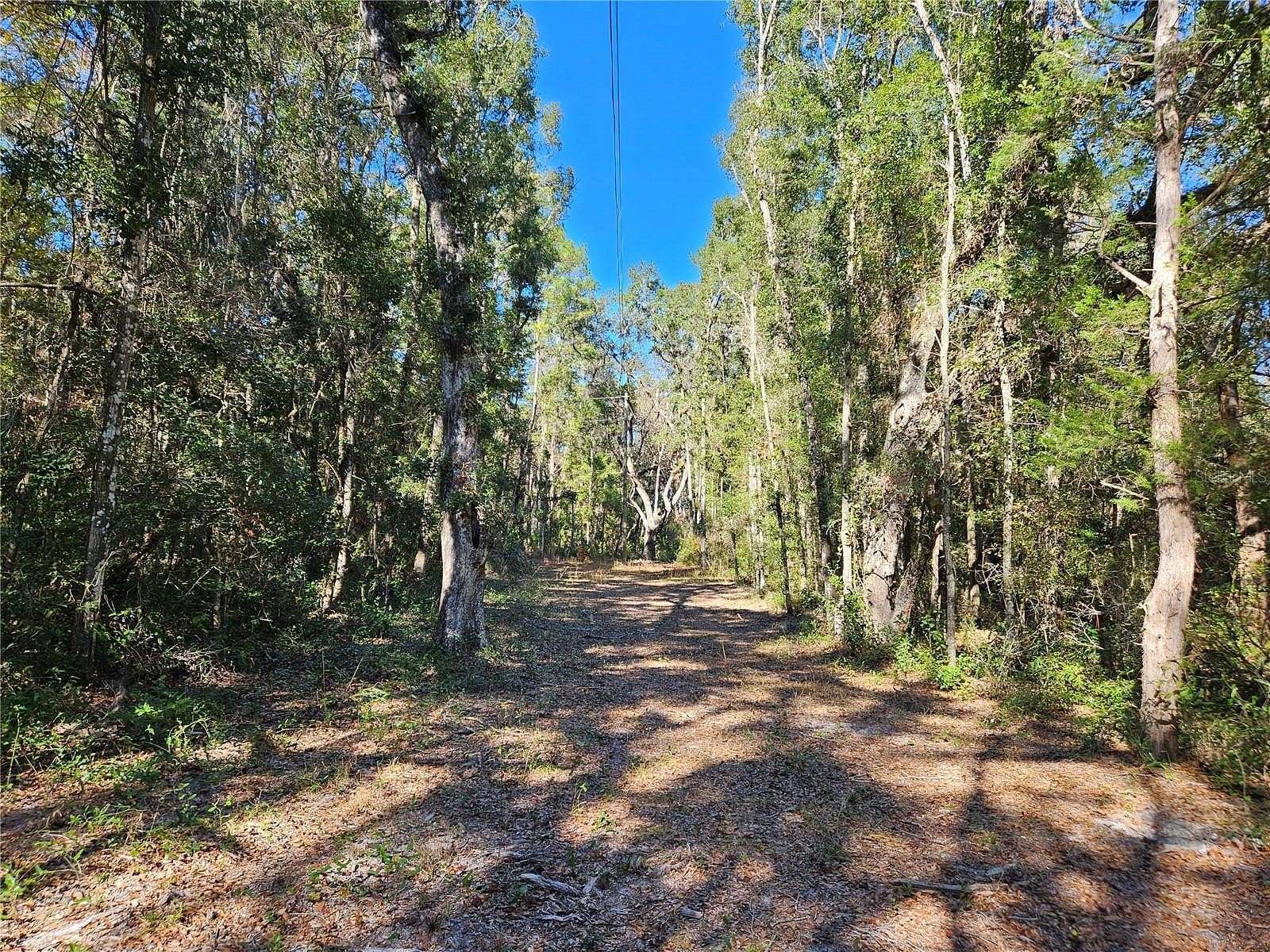 20 Acres of Recreational Land & Farm for Sale in Williston, Florida