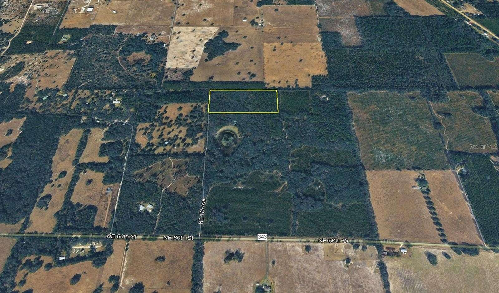 20 Acres of Land for Sale in Williston, Florida