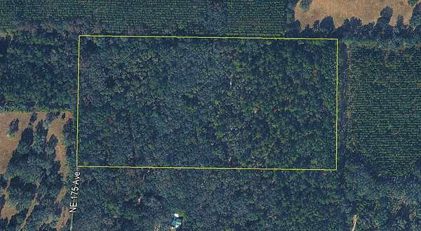 20 Acres of Land for Sale in Williston, Florida