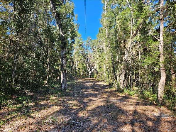 20 Acres of Recreational Land & Farm for Sale in Williston, Florida