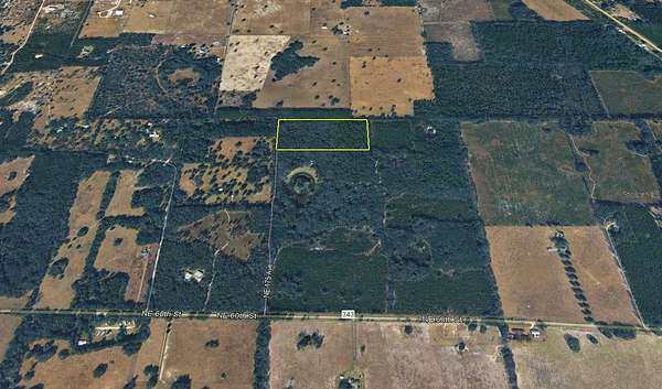 20 Acres of Land for Sale in Williston, Florida