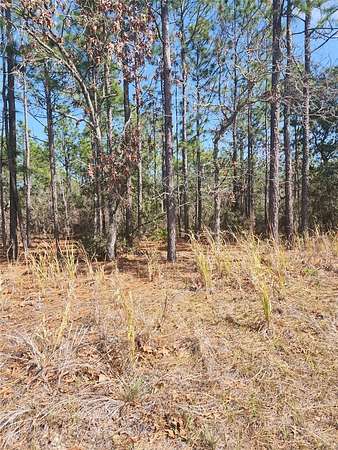 1.23 Acres of Residential Land for Sale in Beverly Hills, Florida