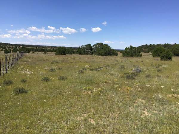13.1 Acres of Recreational & Residential Land for Sale in Ramah, New Mexico