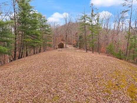 15 Acres of Land for Sale in Irvine, Kentucky