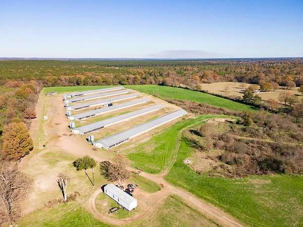43.9 Acres of Improved Agricultural Land for Sale in Center, Texas