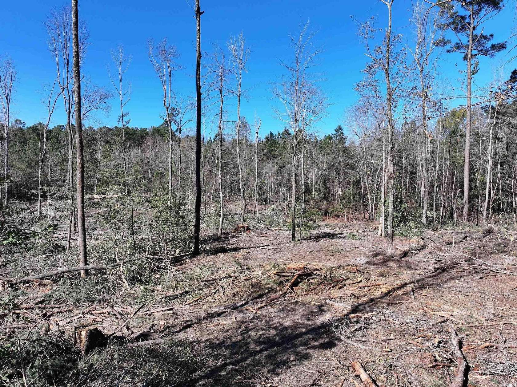 28 Acres of Recreational Land for Sale in Malvern, Arkansas